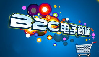 金博科技 東莞b2c商城 b2c系統開發
