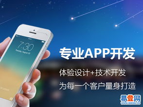 【軟件開發+app開發+ui設計+erp系統研發】-嘉定 江橋易登網