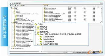 中大中鳴plm項目建設
