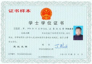 2015年北大青鳥沈陽培訓中心招生簡章