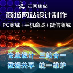 出售的服務 云網建站