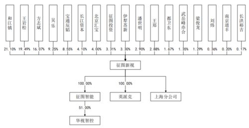收入季節性波動 征圖新視科創板ipo能否助力研發產業化