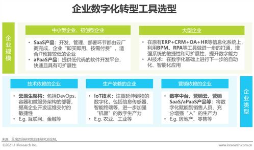 工賦開發者社區 2021年中國企業數字化轉型路徑研究報告