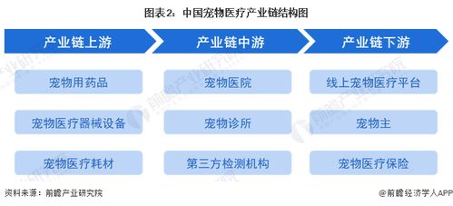 預見2023 2023年中國寵物醫療行業全景圖譜 附市場規模 競爭格局和發展前景等